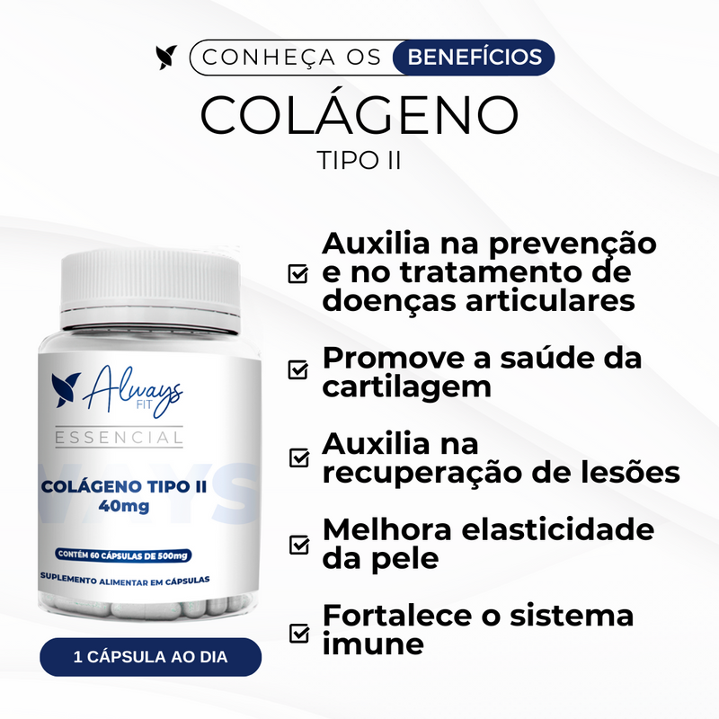 Colágeno Tipo II 40mg Articulações e Cartilagem - 60 cáps.